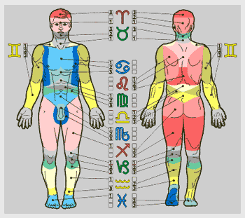 Двенадцать Знаков Зодиака и части тела в Медицинской астрологии